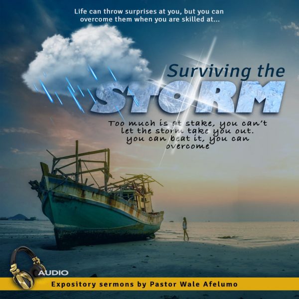surviving the storm