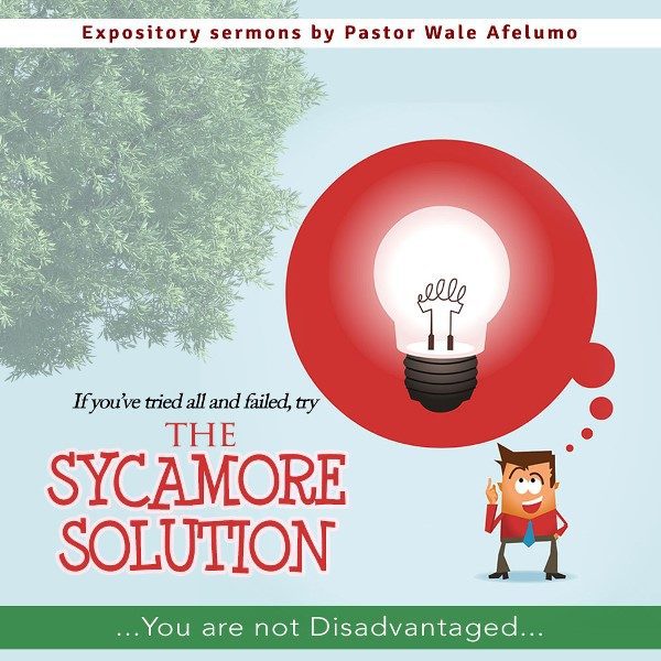 Sycamore solution