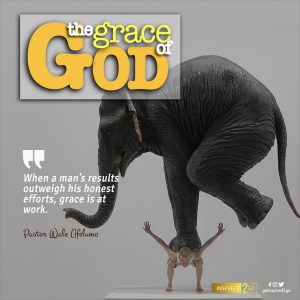 Elephant Grace