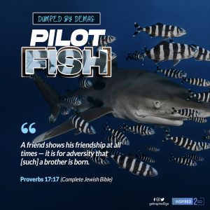 PILOT FISH